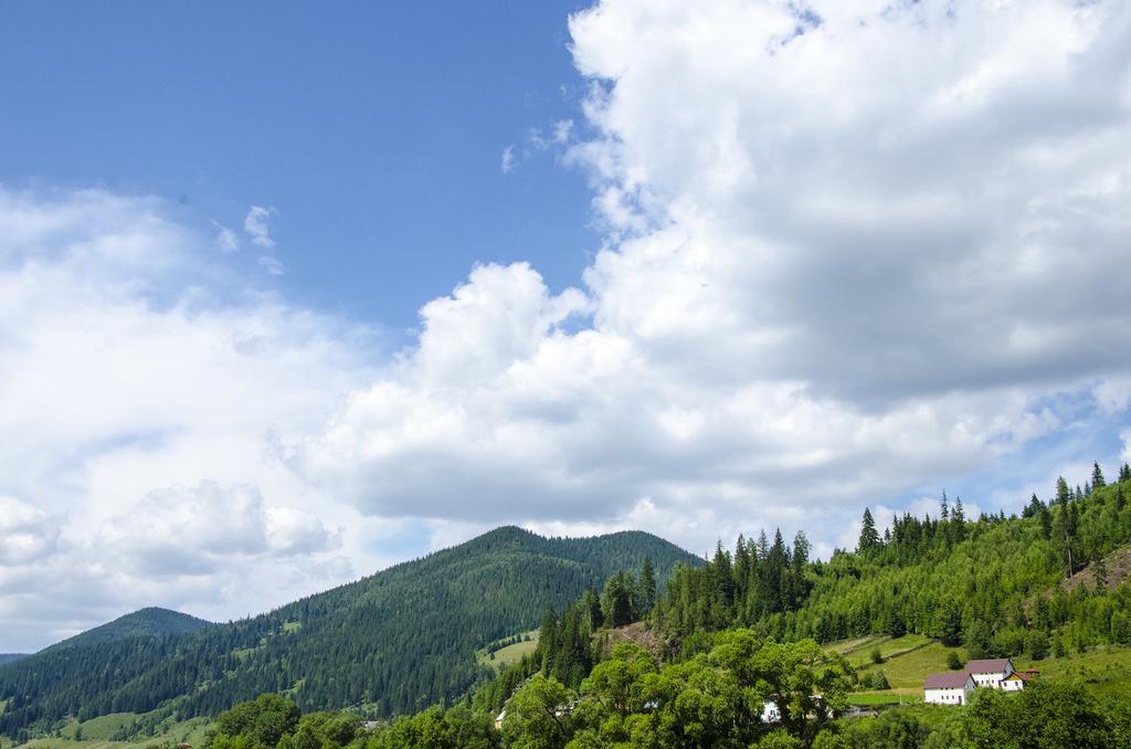 Vila Bucovina Ξενοδοχείο Ciocanesti Εξωτερικό φωτογραφία